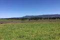 Property photo of 515 Back Forest Road Far Meadow NSW 2535