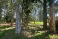 Property photo of 173 High Central Road Macleay Island QLD 4184