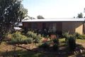 Property photo of 137 Sturt Street Howlong NSW 2643