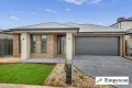 Property photo of 51 Pascal Crescent Kalkallo VIC 3064