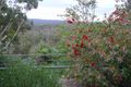 Property photo of 196 Three Mile Road Crows Nest QLD 4355