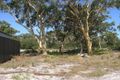 Property photo of 14 Hazelwood Rise Callala Beach NSW 2540