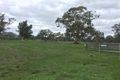 Property photo of 75 Yarck Village Place Yarck VIC 3719
