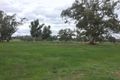 Property photo of 75 Yarck Village Place Yarck VIC 3719