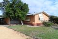 Property photo of 23 Hayward Terrace Loxton SA 5333