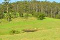 Property photo of 100 Willett Road Bellthorpe QLD 4514