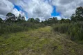 Property photo of 671 Sandy Point Road Lower Boro NSW 2580