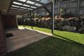 Property photo of 23 Nicola Way Upper Coomera QLD 4209