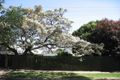 Property photo of 21 Torrens Street Linden Park SA 5065