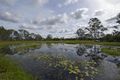 Property photo of 204 Smiths Crossing Road Bucca QLD 4670