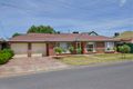 Property photo of 5 Harris Street Edwardstown SA 5039