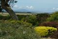 Property photo of 202 Soldiers Road Fish Creek VIC 3959