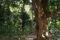Property photo of 157 Endeavour Valley Road Cooktown QLD 4895