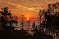 Property photo of 14/41-43 Marine Parade Redcliffe QLD 4020