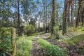 Property photo of 5 Wells Road Mirboo North VIC 3871