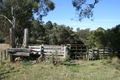 Property photo of 1819 Gresford Road Torryburn NSW 2421