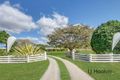 Property photo of 47321 Bruce Highway Iveragh QLD 4680