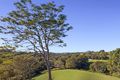 Property photo of 164 Black Mountain Range Road Black Mountain QLD 4563