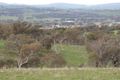Property photo of 119 Salt Clay Road Cootamundra NSW 2590