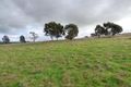 Property photo of 119 Salt Clay Road Cootamundra NSW 2590