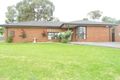 Property photo of 42 Ripplebrook Drive Broadmeadows VIC 3047