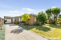 Property photo of 24 Magnus Street St Albans VIC 3021