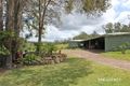 Property photo of 637 Tanban Road Collombatti NSW 2440