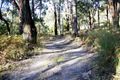 Property photo of 60 Fay Street Jeeralang Junction VIC 3840