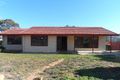 Property photo of 98 Drabsch Street Loxton SA 5333