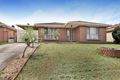Property photo of 17 Peacock Way Currans Hill NSW 2567