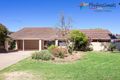 Property photo of 21 Dalkeith Avenue Lake Albert NSW 2650