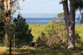 Property photo of 239 Main Road Wellington Point QLD 4160