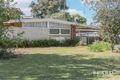 Property photo of 41 Knowles Street Balcatta WA 6021