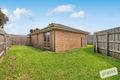 Property photo of 3 Maculata Drive Cranbourne West VIC 3977