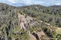 Property photo of 371 Ruggs Road Nethercote NSW 2549