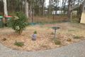 Property photo of 22 White Circuit Gloucester NSW 2422