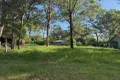Property photo of 28 Noogie Street Macleay Island QLD 4184