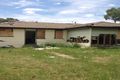 Property photo of 23 Alcheringa Street Dubbo NSW 2830