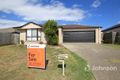 Property photo of 48 Pencarrow Crescent Raceview QLD 4305