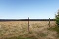 Property photo of 1524 Bacchus Marsh Road Bullengarook VIC 3437