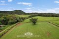 Property photo of 4 Nine Mile Road Julatten QLD 4871