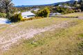 Property photo of 33 William Road Eumundi QLD 4562