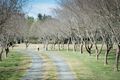 Property photo of 30 Durham Road Bundanoon NSW 2578