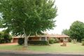 Property photo of 13 Box Street Rangeville QLD 4350