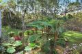 Property photo of 10 Yaringa Road Castle Hill NSW 2154