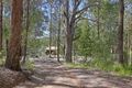 Property photo of 37 McIntyre Lane Tinbeerwah QLD 4563