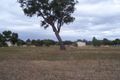 Property photo of 13 Albury Court Boyanup WA 6237
