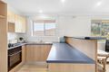 Property photo of 14/50 Howard Avenue Dee Why NSW 2099
