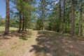 Property photo of 21 Andrews Road Federal QLD 4568