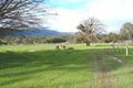 Property photo of 2045 Don Road Launching Place VIC 3139